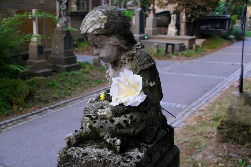 statue funéraire d'ange avec rose blanche posée sur son bras
