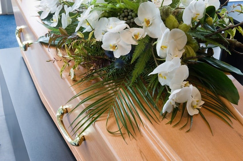 cercueil en bois avec orchidées blanches et du feuillage vert