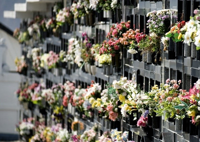 cases de columbarium avec fleurs