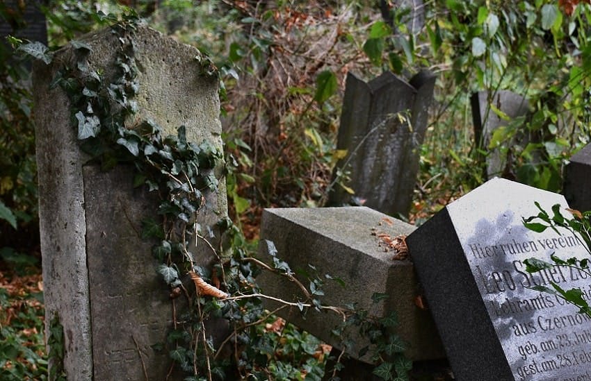 anciennes stèles avec de la lierre dans un cimetière 