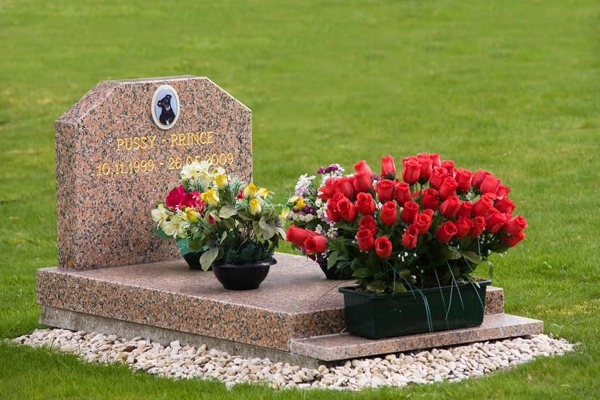 tombe d'un chien avec fleurs