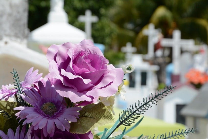 fleurs artificielles violettes en gros plan sur tombe dans un cimetière