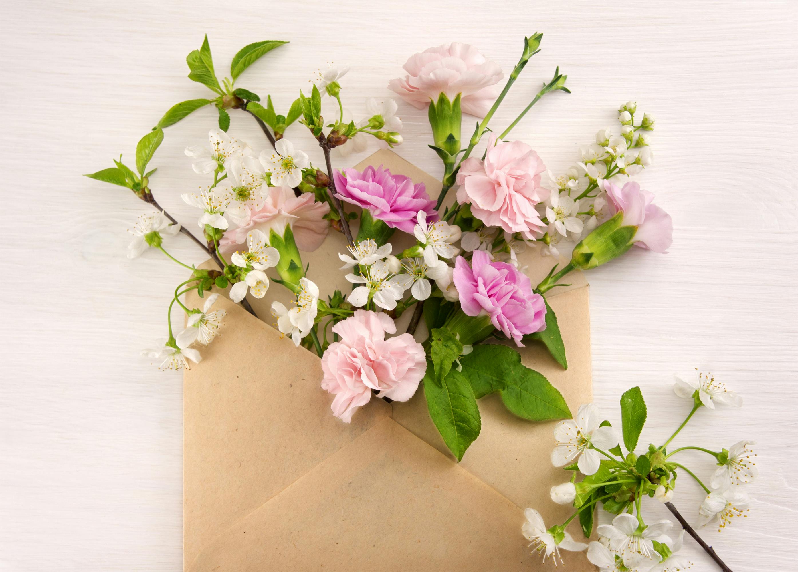 quelques tiges de fleurs dans une enveloppe courrier