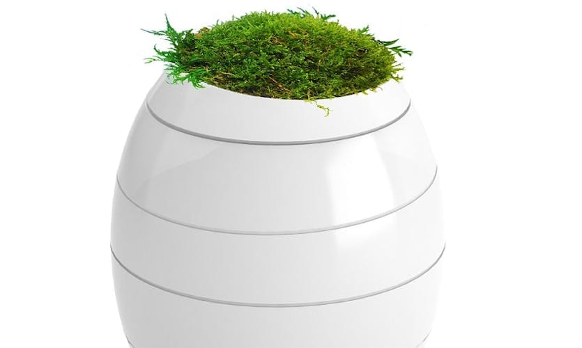 Description de l'image