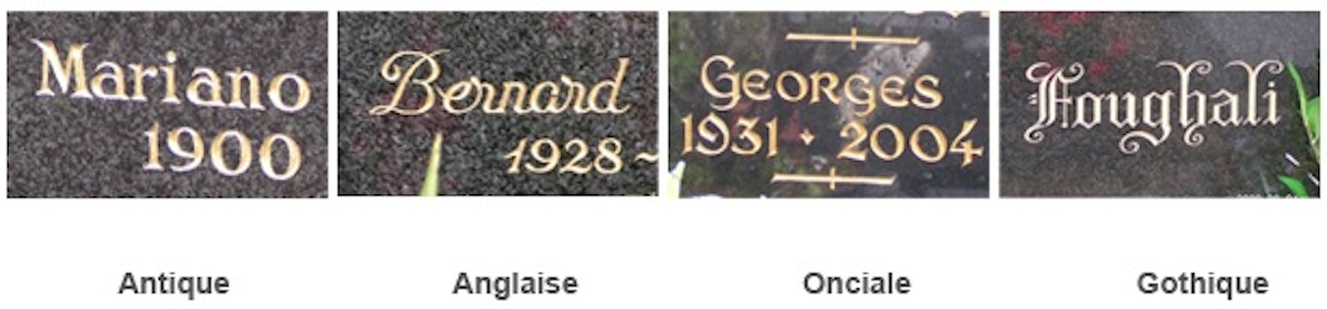 Description de l'image