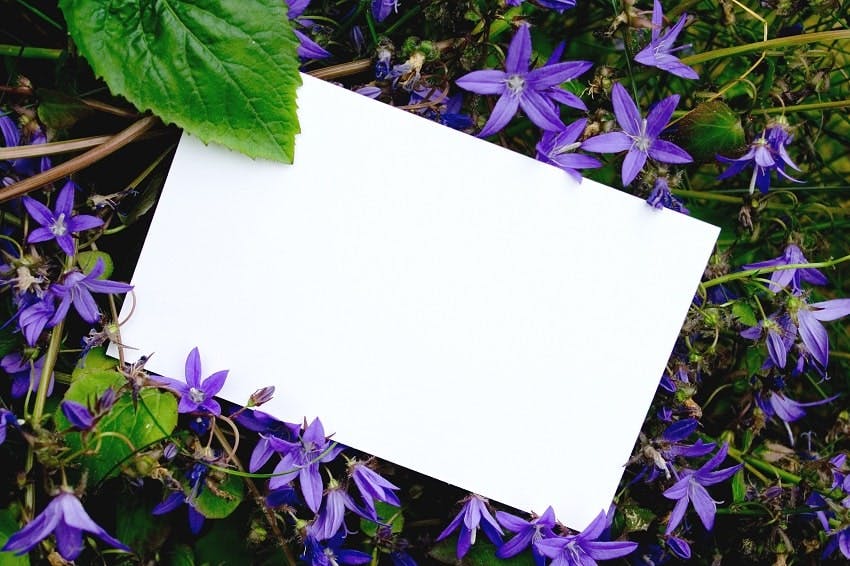enveloppe blanche au milieu de fleurs violettes