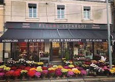 Devanture de Fleuriste Fleur d'Escargot