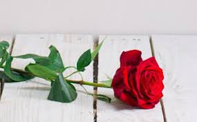 Photo de la Pompe Funèbre Les marbres du paradis