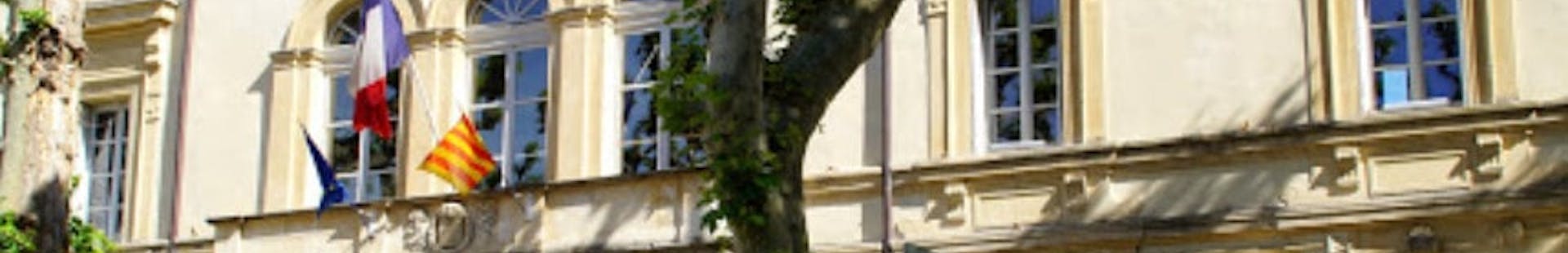 Photo de la ville de Saint-Rémy-de-Provence
