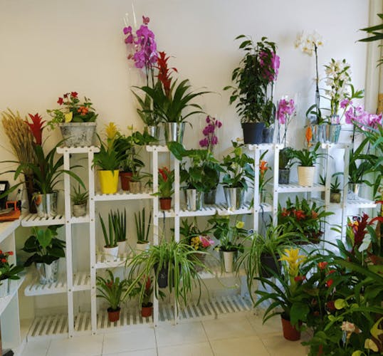 Pompes Funèbres Le Pass'age de Nice