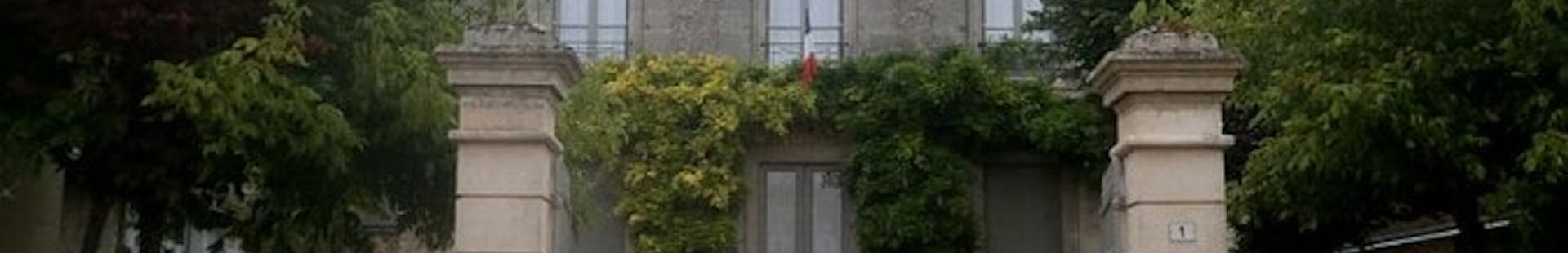 Photo de la ville de Chemillé-sur-Dême