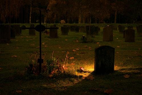graveyard-light-wood