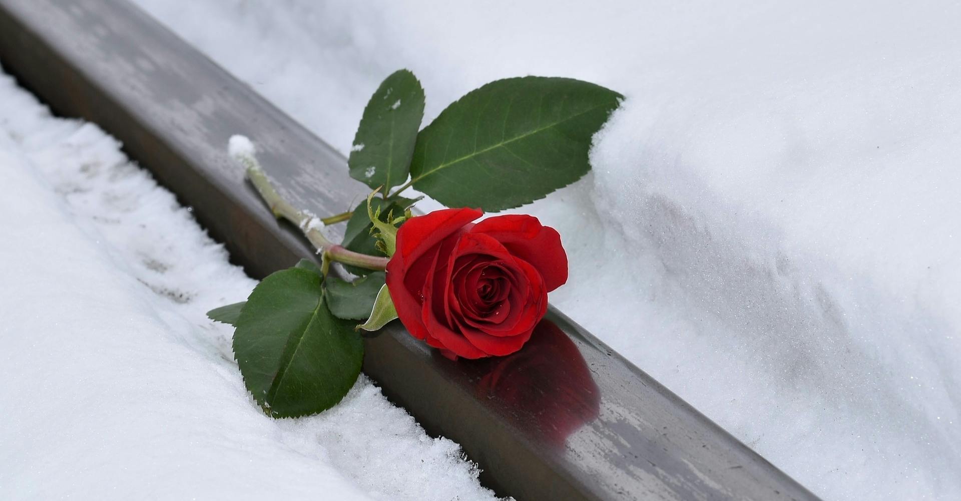 Condoléances : comment trouver les bons mots ?