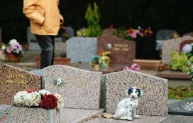 cimetière pour animaux