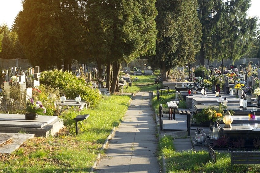 allée dans cimetière enherbé et arboré par belle journée ensoleillée