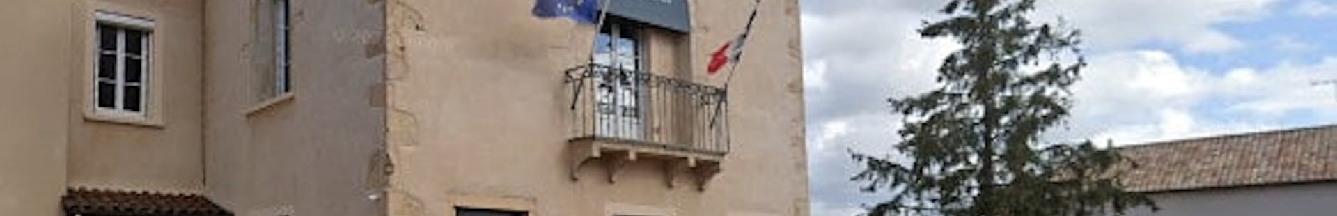 Photo de la ville de Chénas