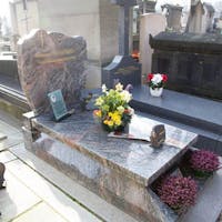 Description de l'image