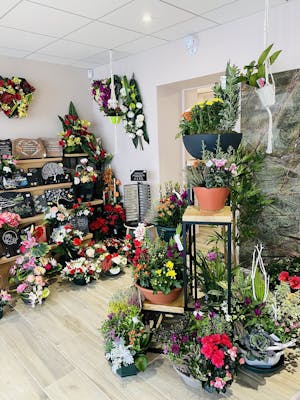 Photographie de Fontan Funéraire de Tarbes