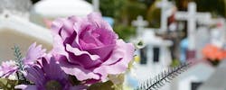 Comment choisir les fleurs à mettre sur la tombe ou sur le cercueil ?