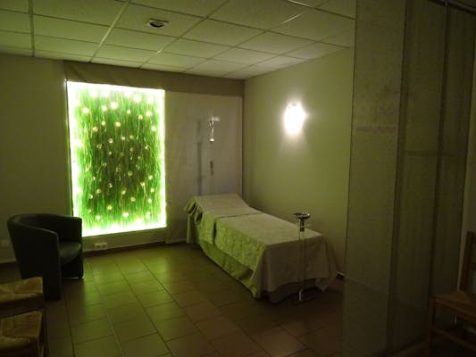 Photographie d'un premier salon de DELSIGNE 