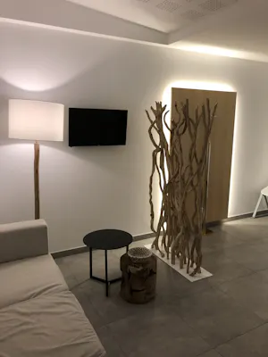 Photographie 2018 - premier salon - Colombe