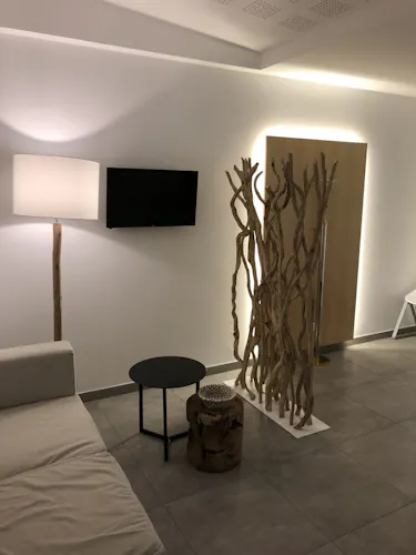 Photographie 2018 - premier salon - Colombe