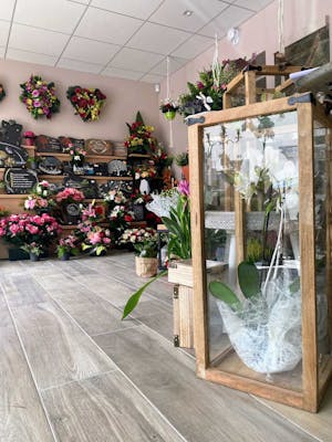 Photographie de Fontan Funéraire de Tarbes