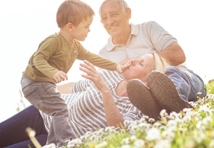 Description de l'image