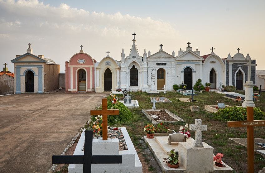 colors-flowers-graveyard