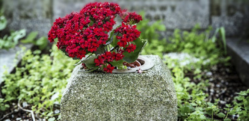 crématorium de Saint-Jean-de-Boiseau - hommage