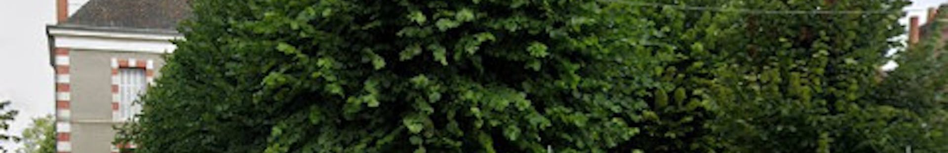 Photo de la ville de Boiscommun