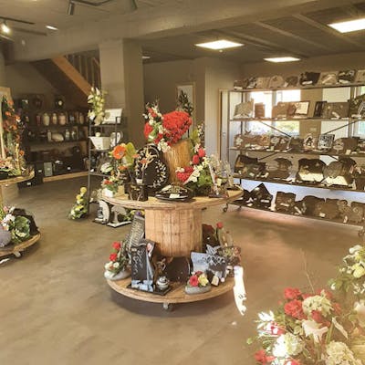 Photographie de la Pompes Funèbres Schifferlé de Sainte-Marie-aux-Mines
