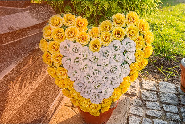 Photographie de la Pompes Funèbres Feniks de la ville de Villejuif