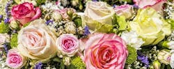 Comment faire pour choisir et se faire livrer des fleurs en ligne ?