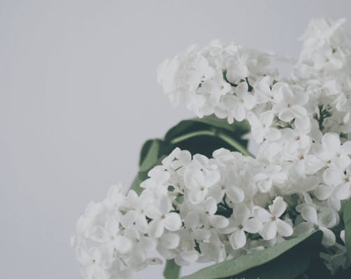 Photo de la Pompe Funèbre Pompes Funèbres Casanova