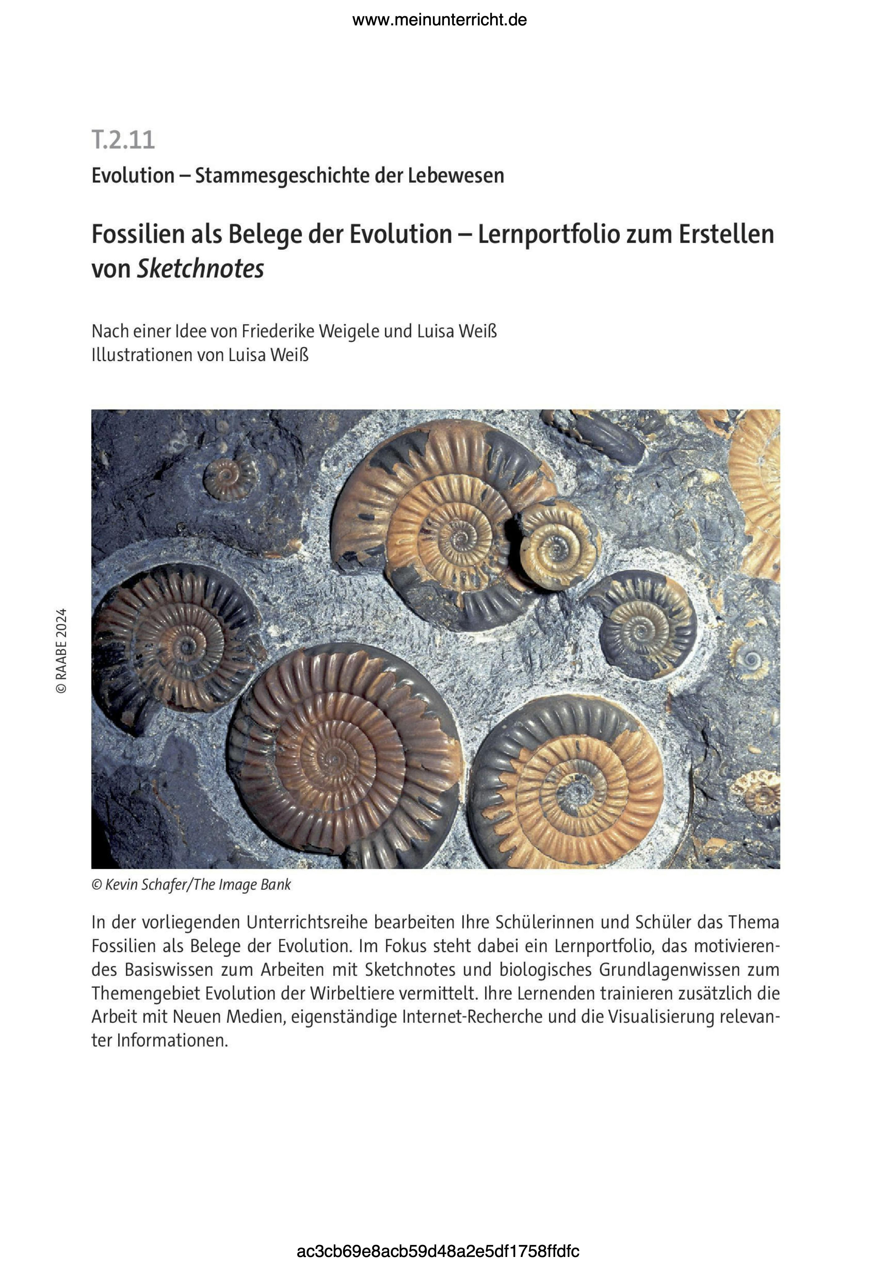 Fossilien als Belege der Evolution・Klasse 9-10・Raabe