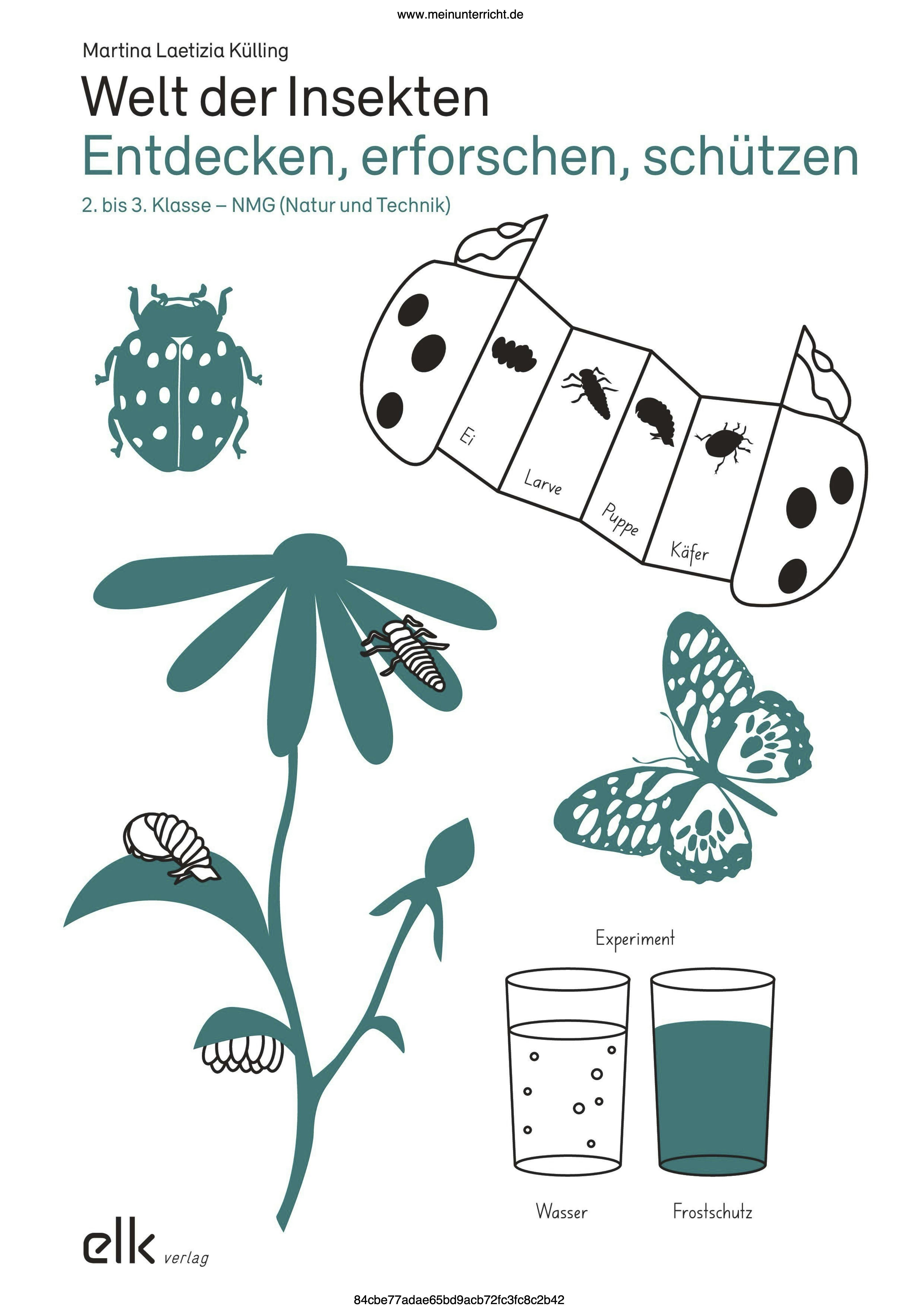 Cover_Welt der Insekten. Entdecken, erforschen, schützen
