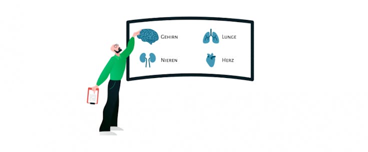Organe des Menschen – Kreative Arbeitsblätter für das Fach Biologie