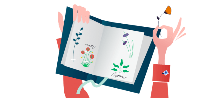 In diesem Blogpost erfährst du, wie du mit deinen SuS ein Herbarium anlegst