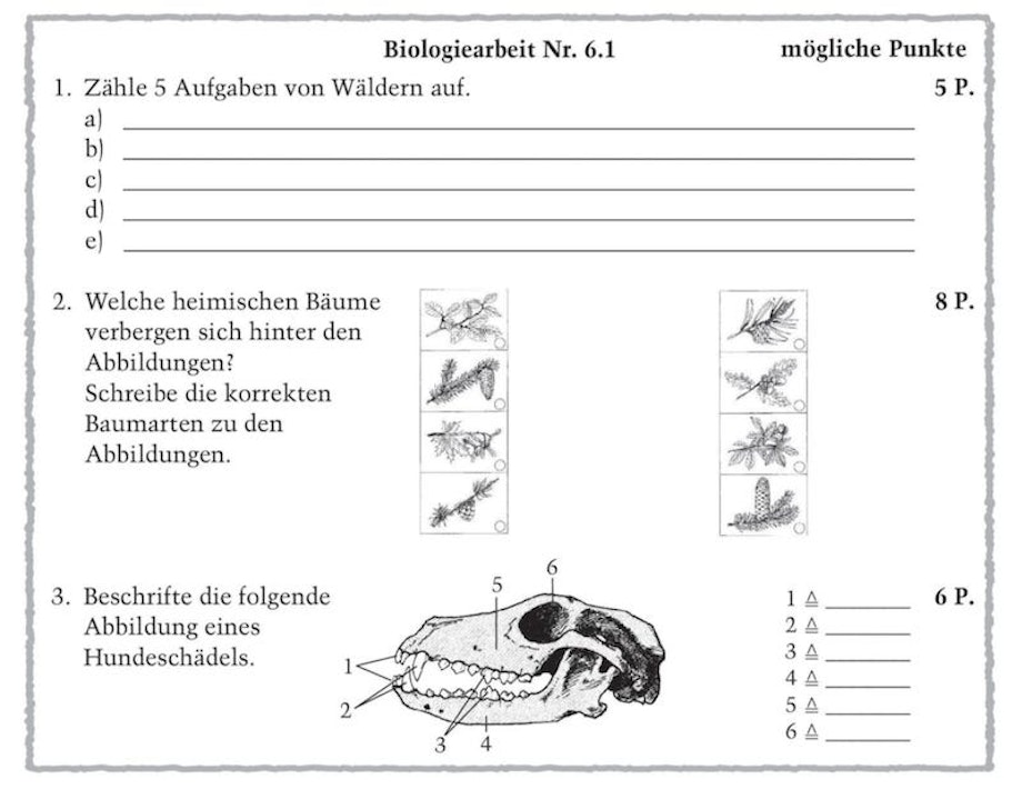 Auf dem Bild sind Beispiele von Aufgaben im Biologieunterricht dargestellt. Diese Materialien zeigen dir, wie du Lernerfolgskontrollen durchführen kannst.