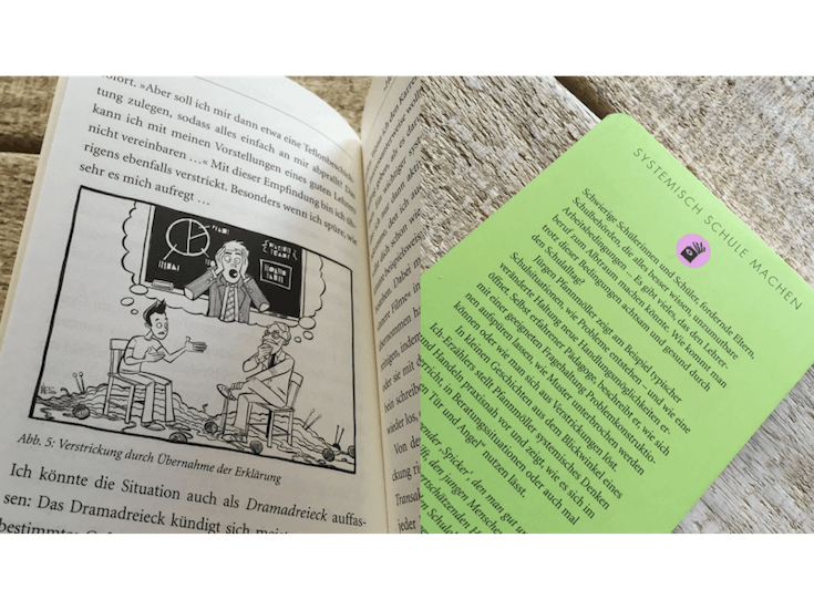 Das Buch Systemisch Schule machen