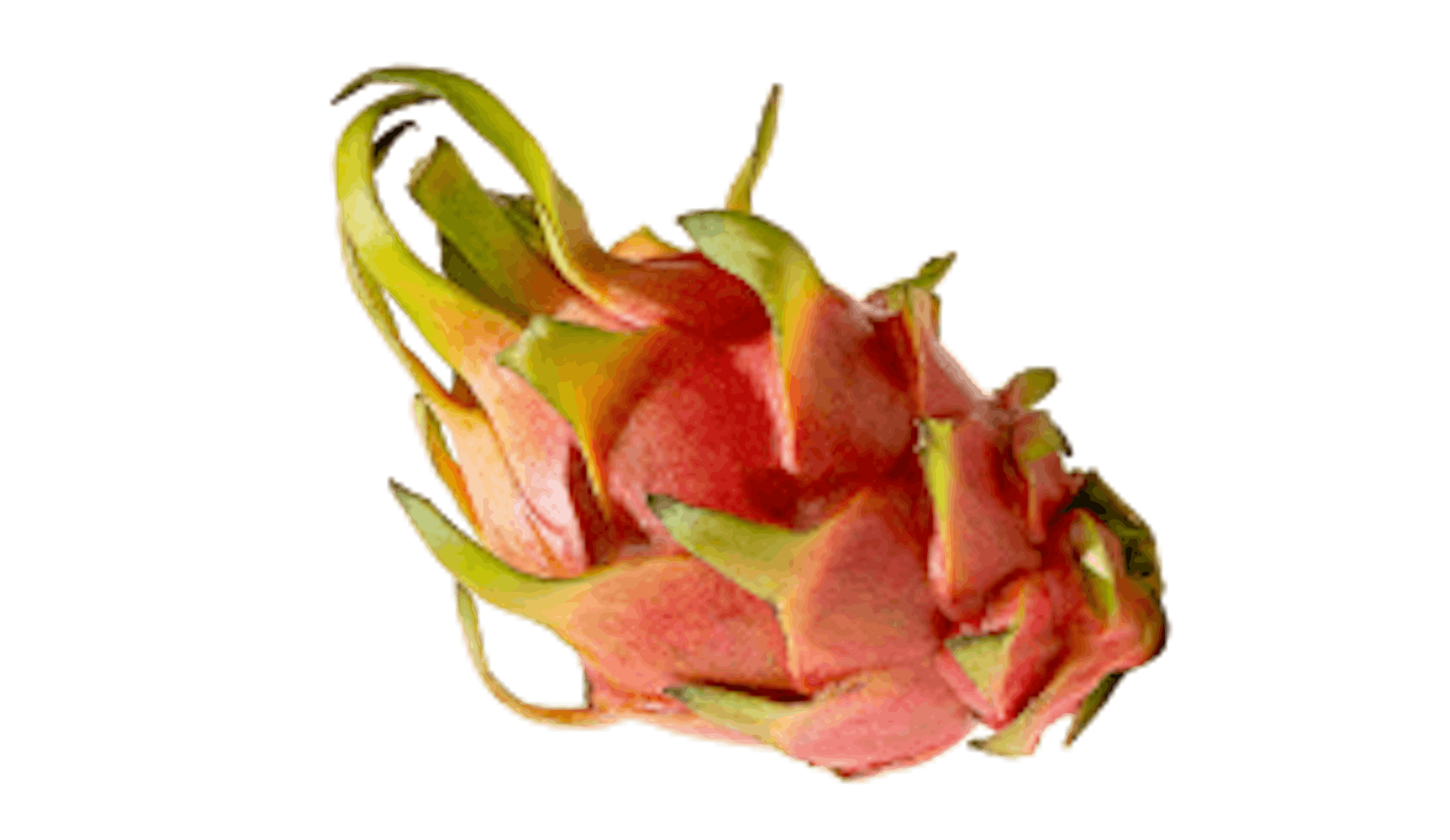 Grocery Delivery Promos Discounts Savings grocery-delivery-promos-discounts-savings