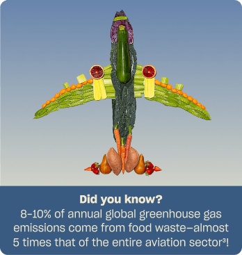 produce in the shape of an airplane