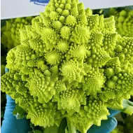 Romanesco