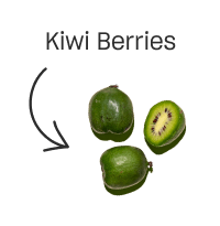 kiwi berries