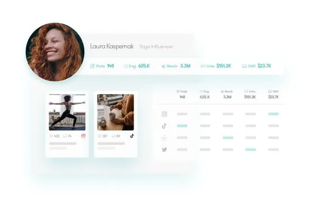Influencer statistics