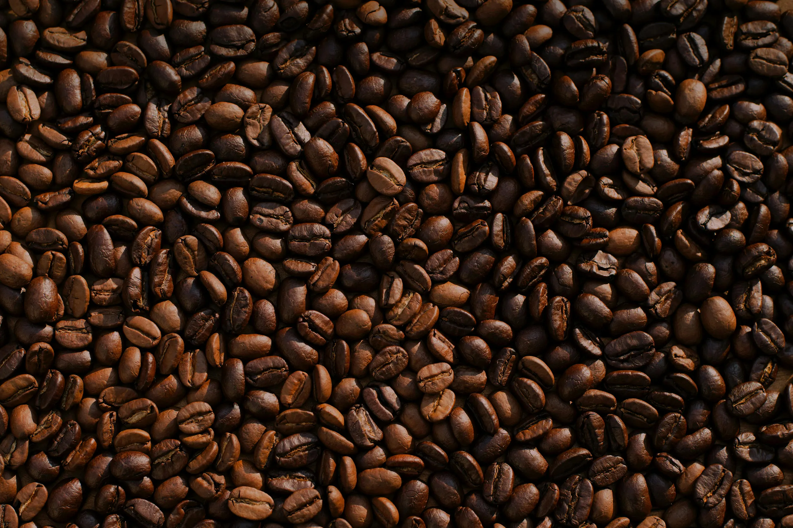 dark brown coffee beans