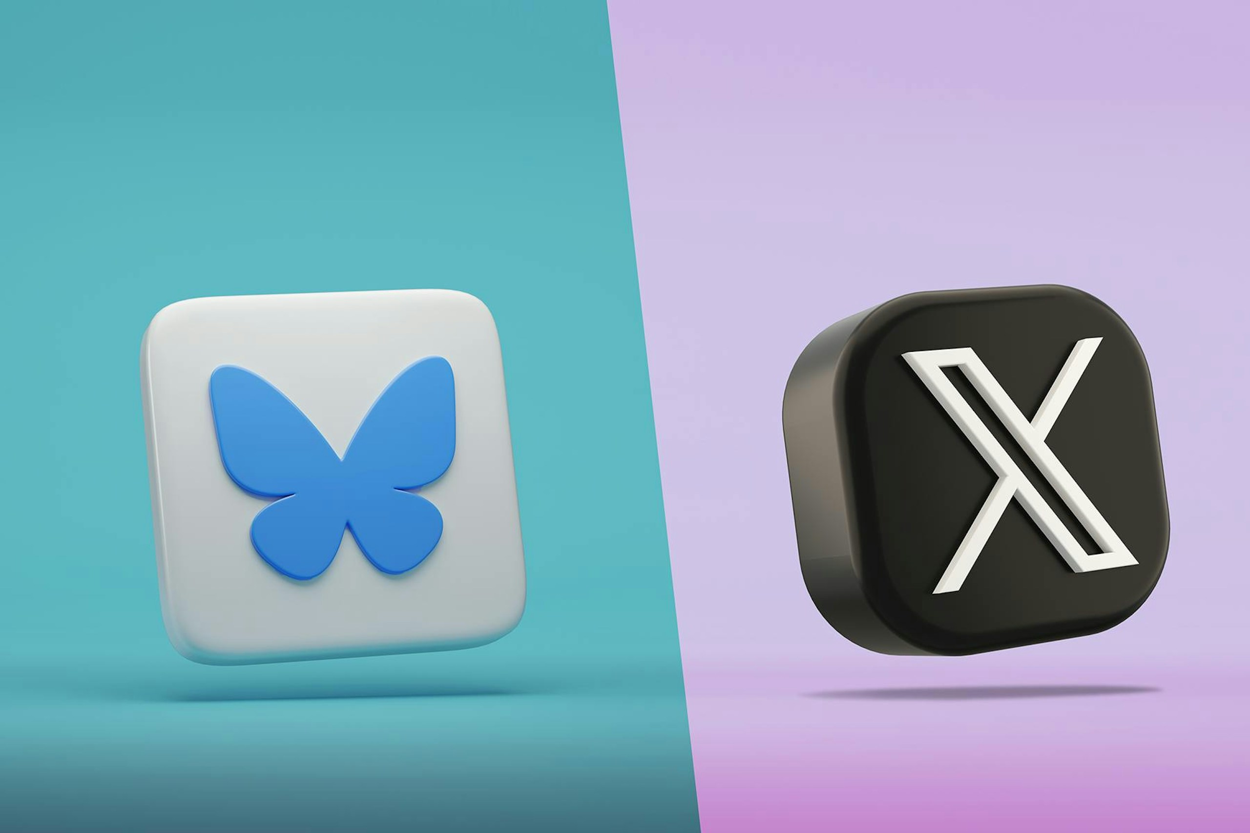 Bluesky and Twitter Logos
