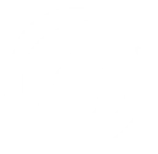 world icon