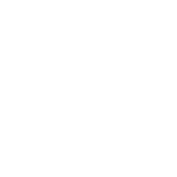stacked coins icon